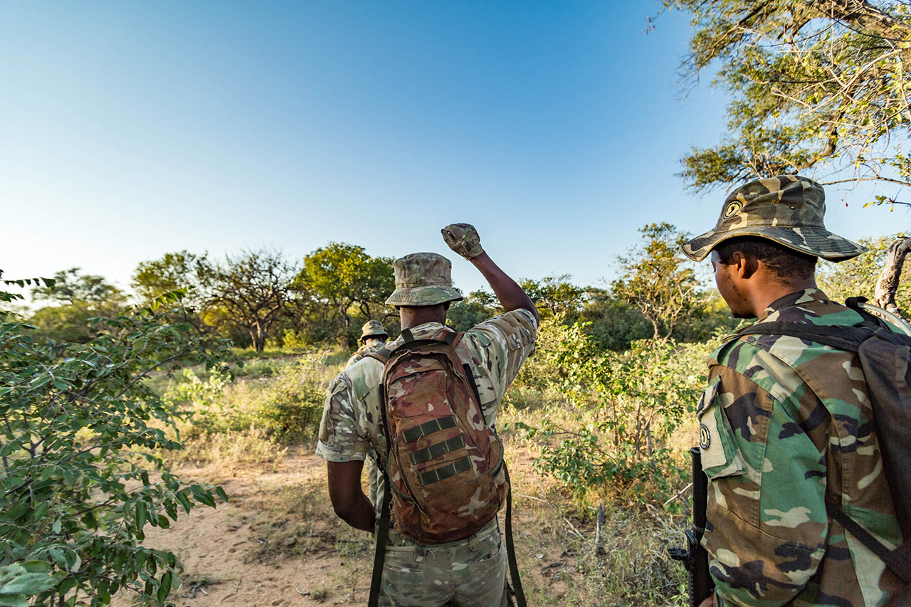 The Hemmersbach Rhino Force Squad in the Greater Kruger region